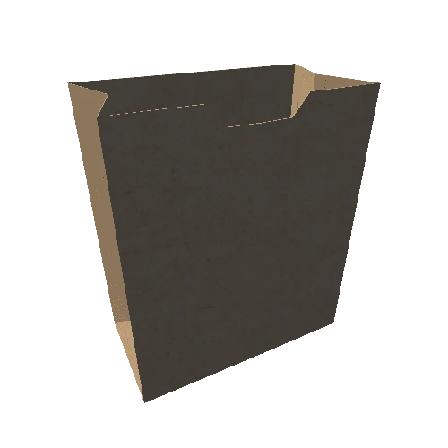 Paper bag